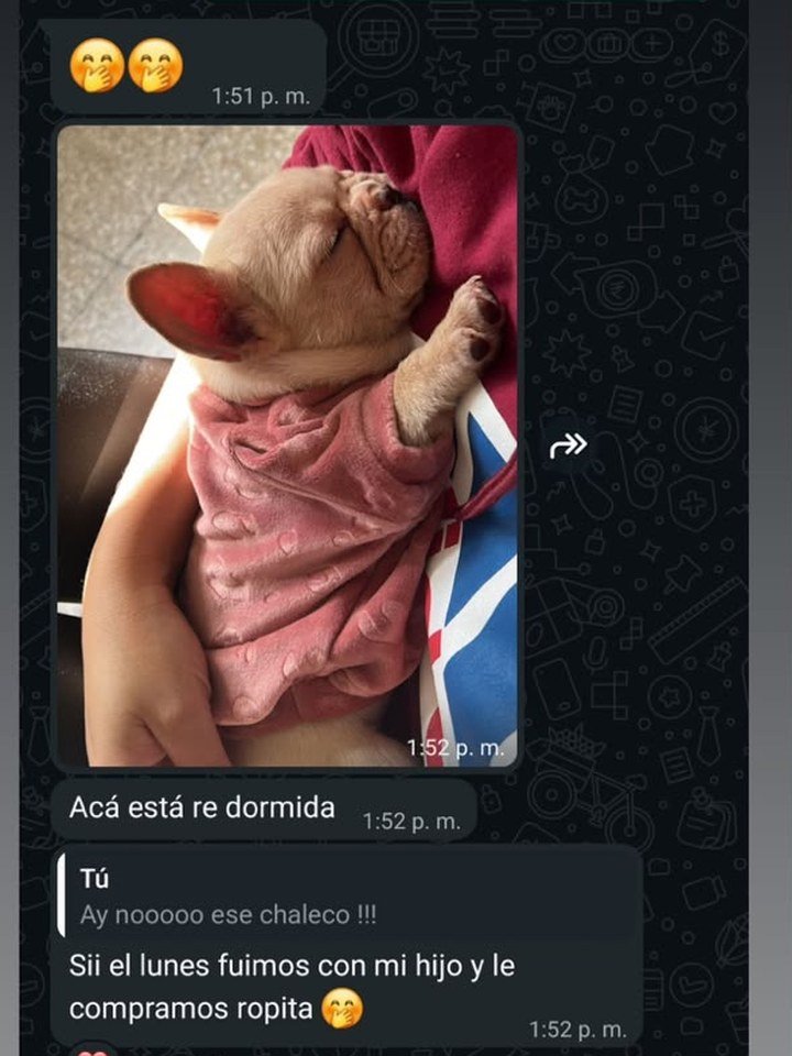 mensaje de una familia que recibió su bulldog francés